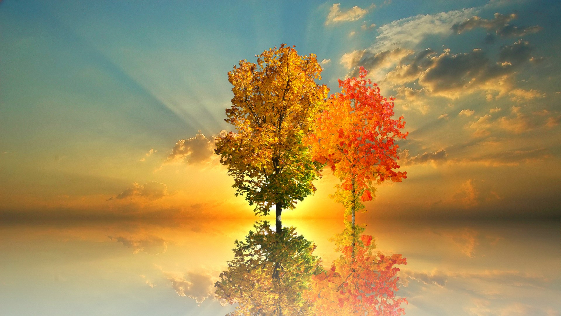 Japan Assemblies of God 公式サイト